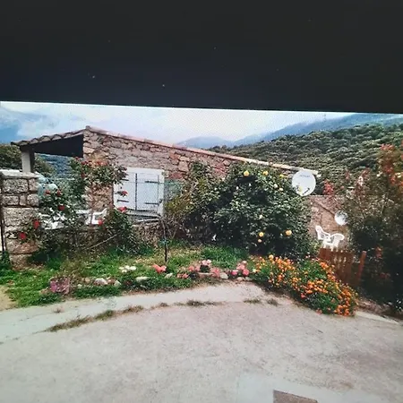 Maison Studio Avec Petit Jardin Arbellara